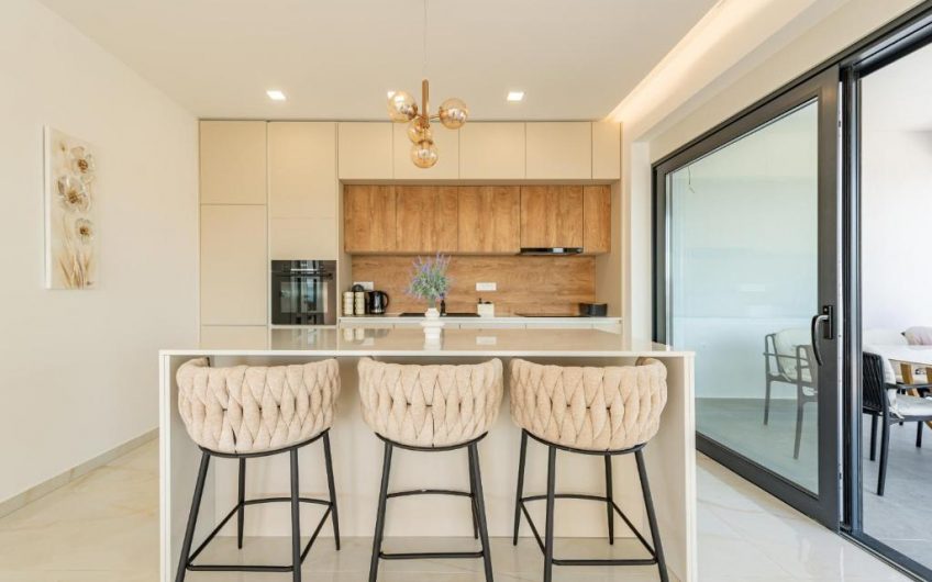 PRODAJA, MODERNO UREĐENA VILA S BAZENOM 50 METARA OD MORA I PLAŽE, MASLENICA (JASENICE), VM1